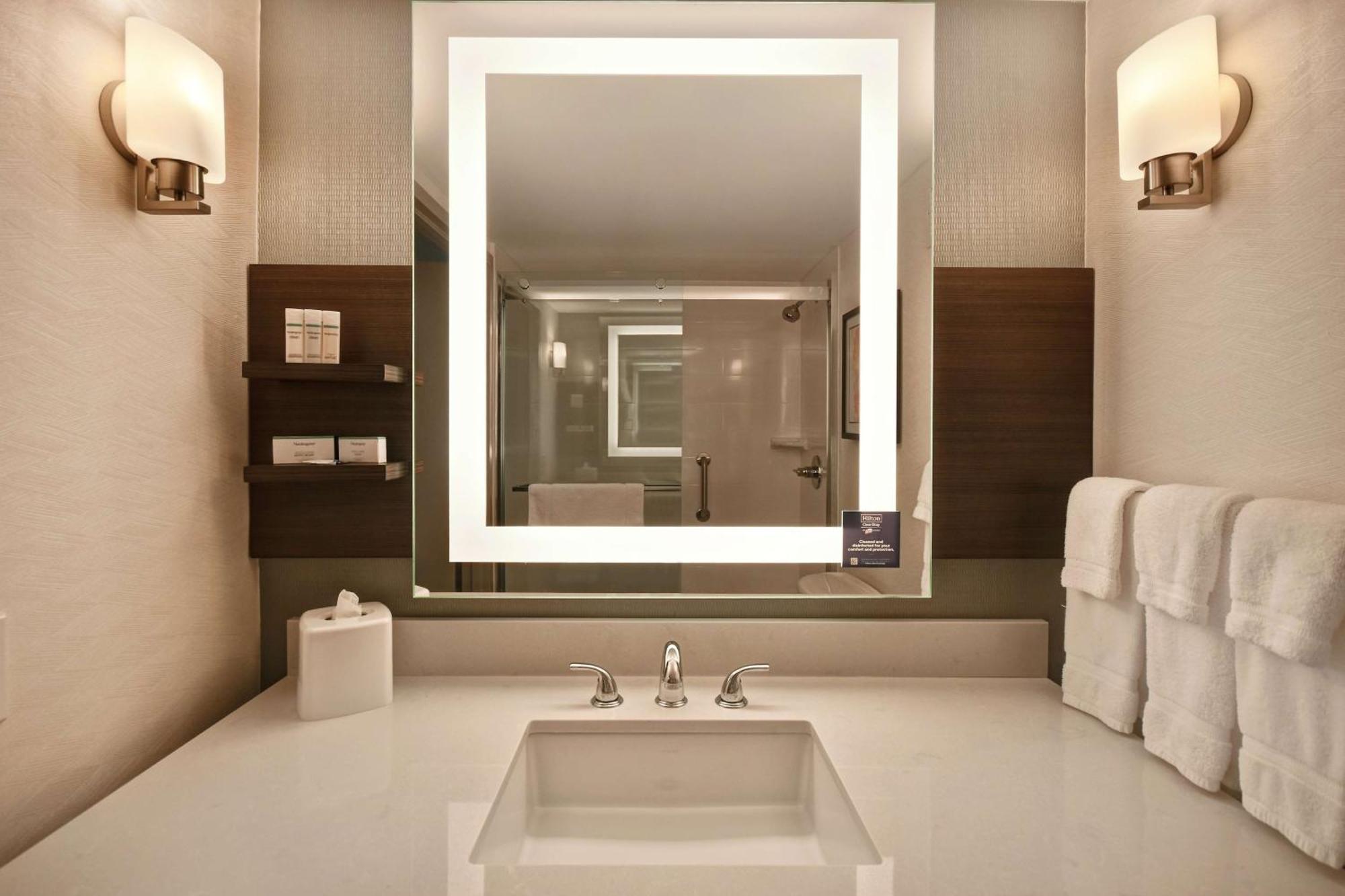 Hilton Garden Detroit Metro Airport 3* Romulus