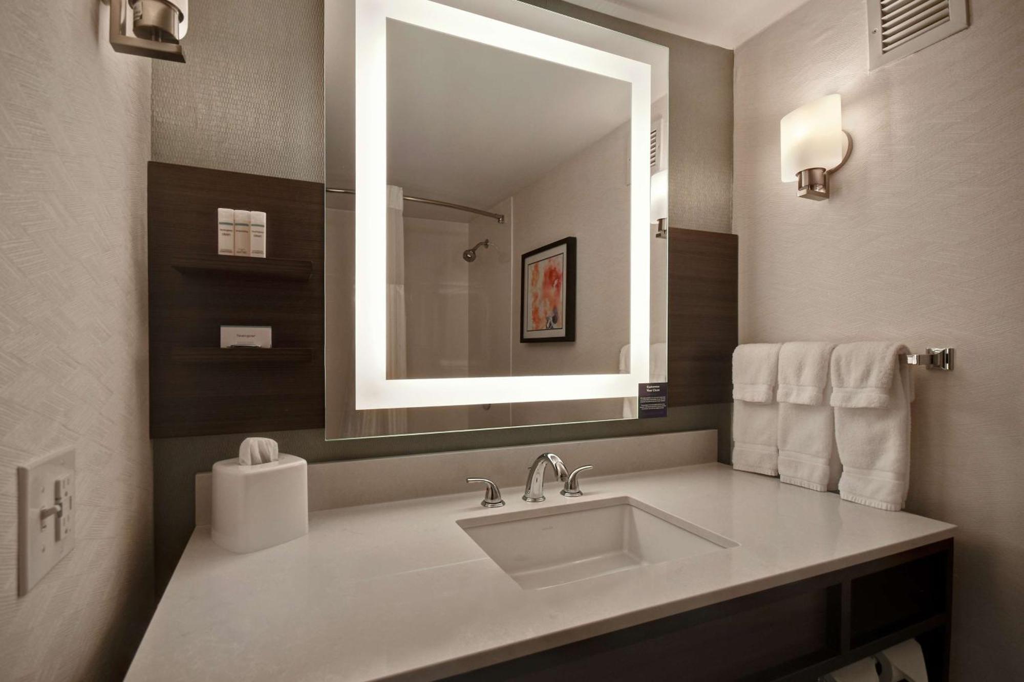 Hilton Garden Detroit Metro Airport Hotel Romulus